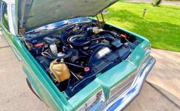 Buick-Electra-1978-Sedan-5