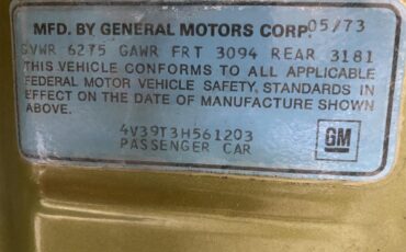 Buick-Electra-225-1973-Green-White-w-Brown-12