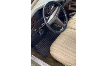 Buick-Electra-225-1973-Green-White-w-Brown-3