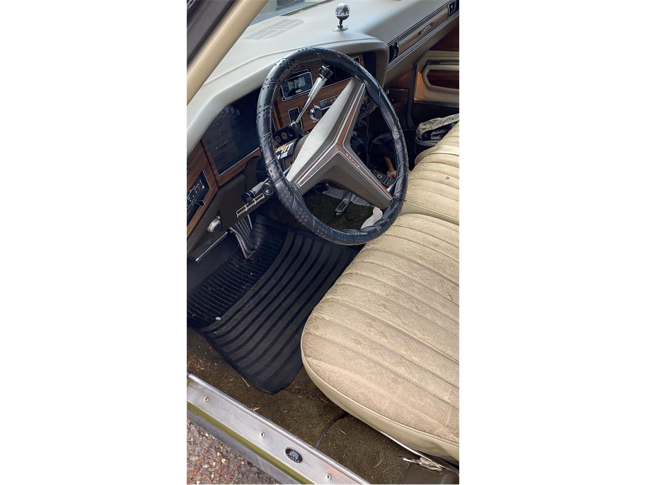 Buick-Electra-225-1973-Green-White-w-Brown-3