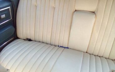Buick-Electra-225-1975-5