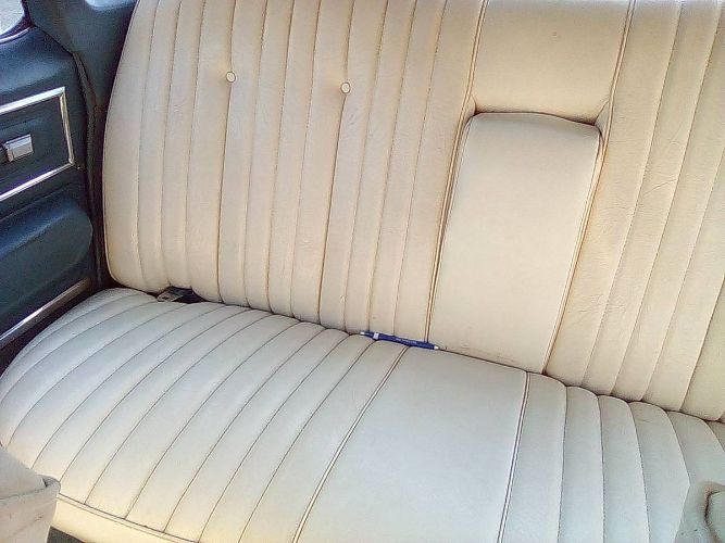 Buick-Electra-225-1975-5