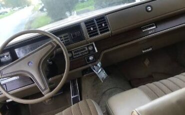 Buick-Electra-225-1975-Orange-14