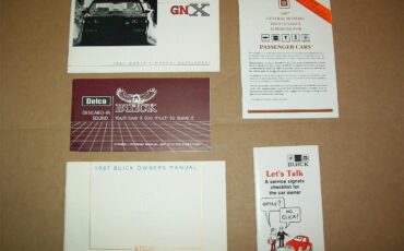 Buick-Gnx-1987-Black-Gray-16