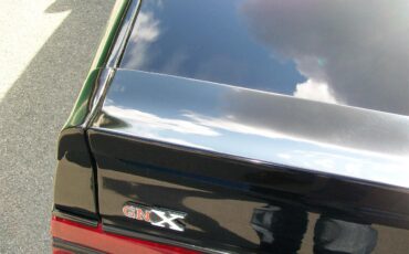 Buick-Gnx-1987-Black-Gray-20