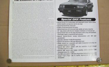 Buick-Gnx-1987-Black-Gray-34