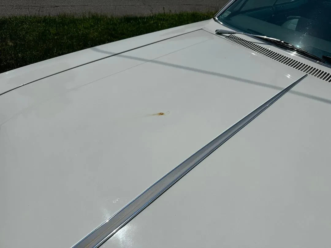 Buick-LeSabre-1965-Sedan-25