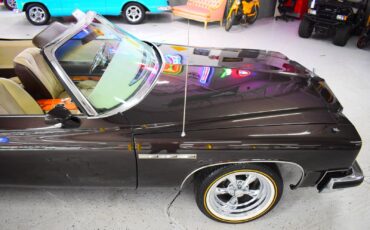 Buick-LeSabre-1975-Convertible-4