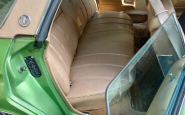Buick-Lesabre-1976-Green-3