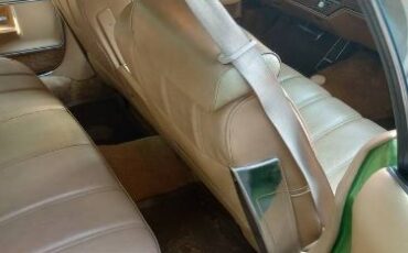 Buick-Lesabre-1976-Green-6