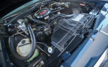 Buick-Lesabre-1979-Dark-Blue-exterior-Light-blue-cloth-int-25