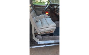 Buick-Park-avenue-1983-Brown-Tan-12