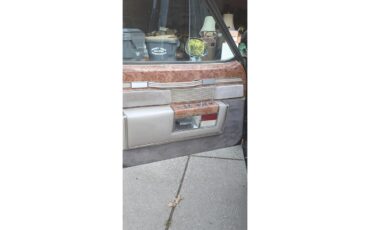 Buick-Park-avenue-1983-Brown-Tan-15