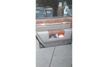 Buick-Park-avenue-1983-Brown-Tan-16