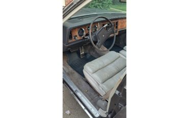 Buick-Park-avenue-1983-Brown-Tan-18