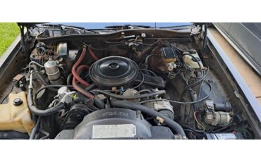 Buick-Park-avenue-1983-Brown-Tan-28