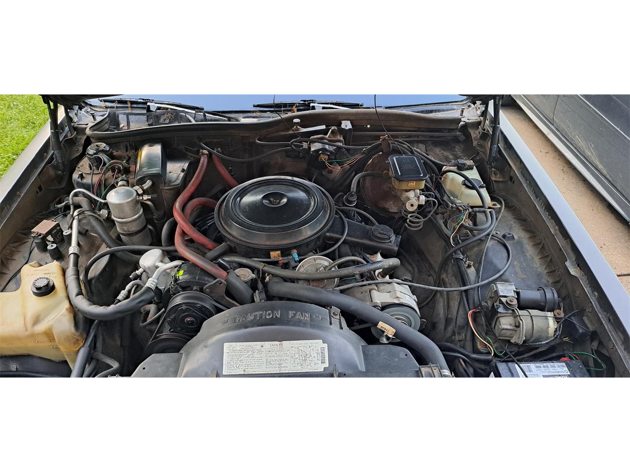 Buick-Park-avenue-1983-Brown-Tan-28