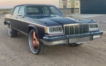 Buick-Park-avenue-1983-Purplish-Bronze-11