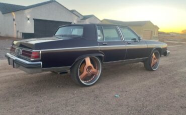 Buick-Park-avenue-1983-Purplish-Bronze-5