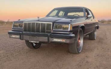 Buick-Park-avenue-1983-Purplish-Bronze-6