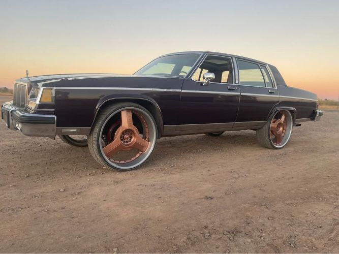 Buick-Park-avenue-1983-Purplish-Bronze-8