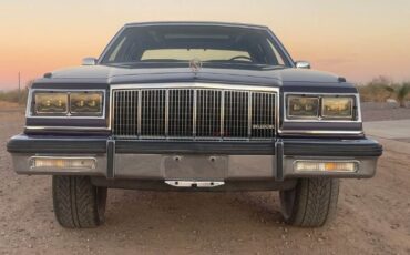 Buick-Park-avenue-1983-Purplish-Bronze-9