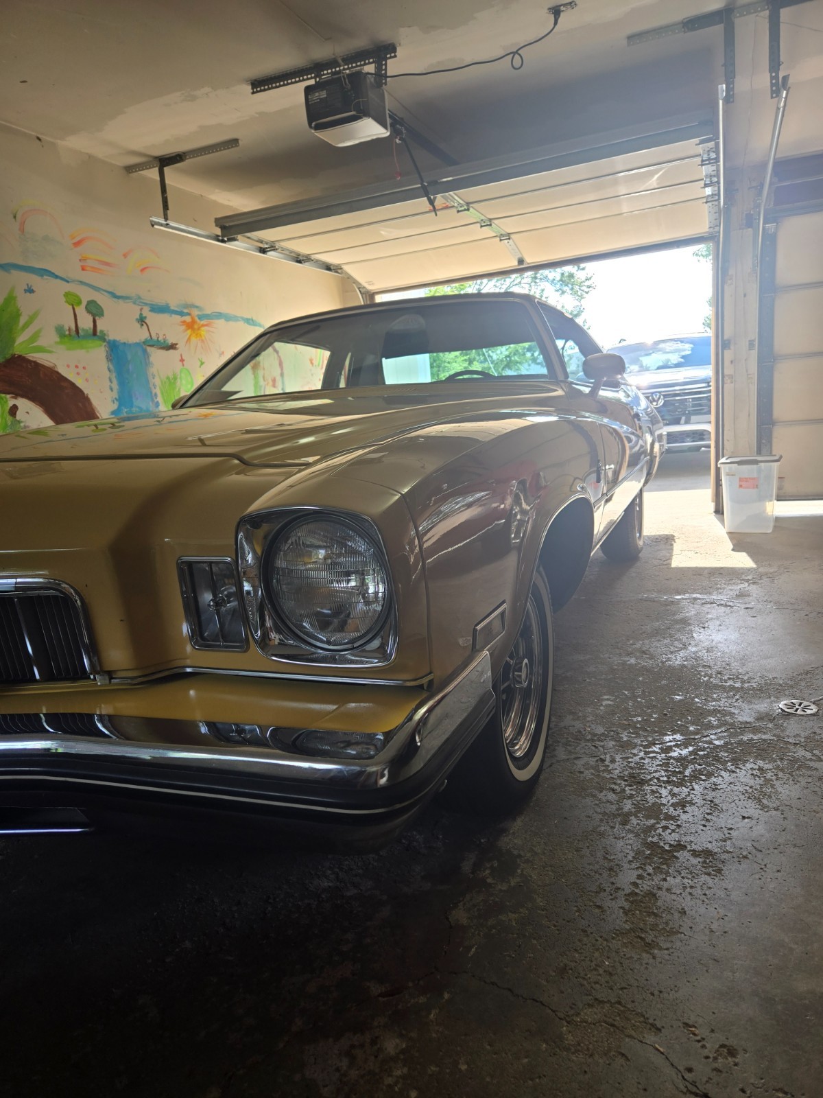Buick-Regal-1973-Coupe-14
