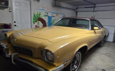Buick-Regal-1973-Coupe-15