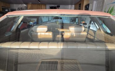 Buick-Regal-1973-Coupe-20