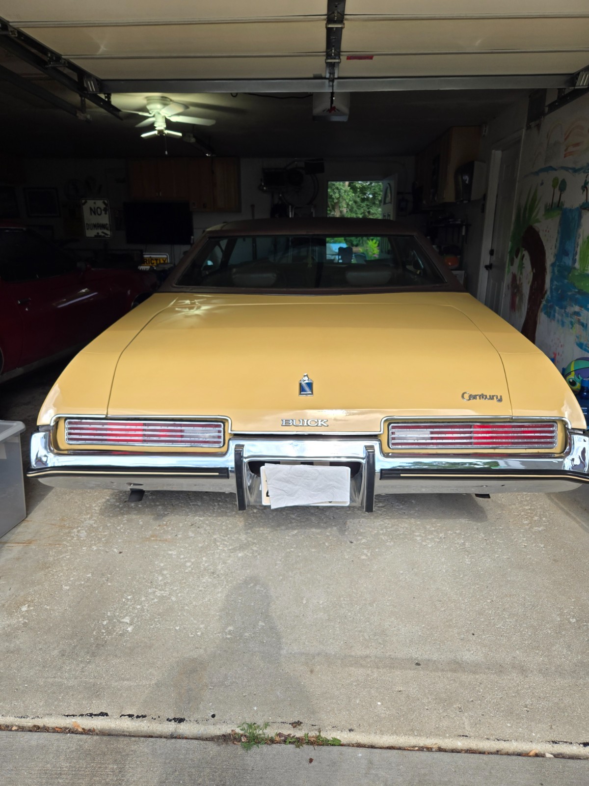 Buick-Regal-1973-Coupe-3