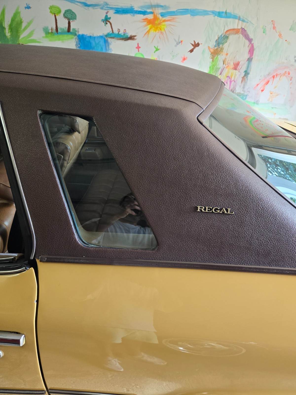 Buick-Regal-1973-Coupe-9