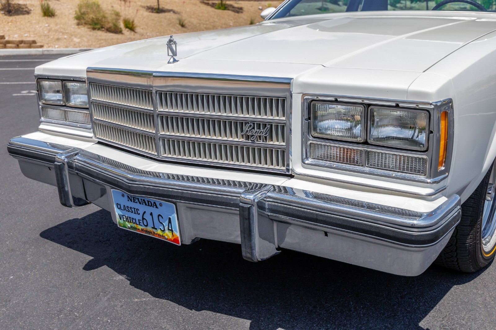 Buick-Regal-1977-Coupe-13