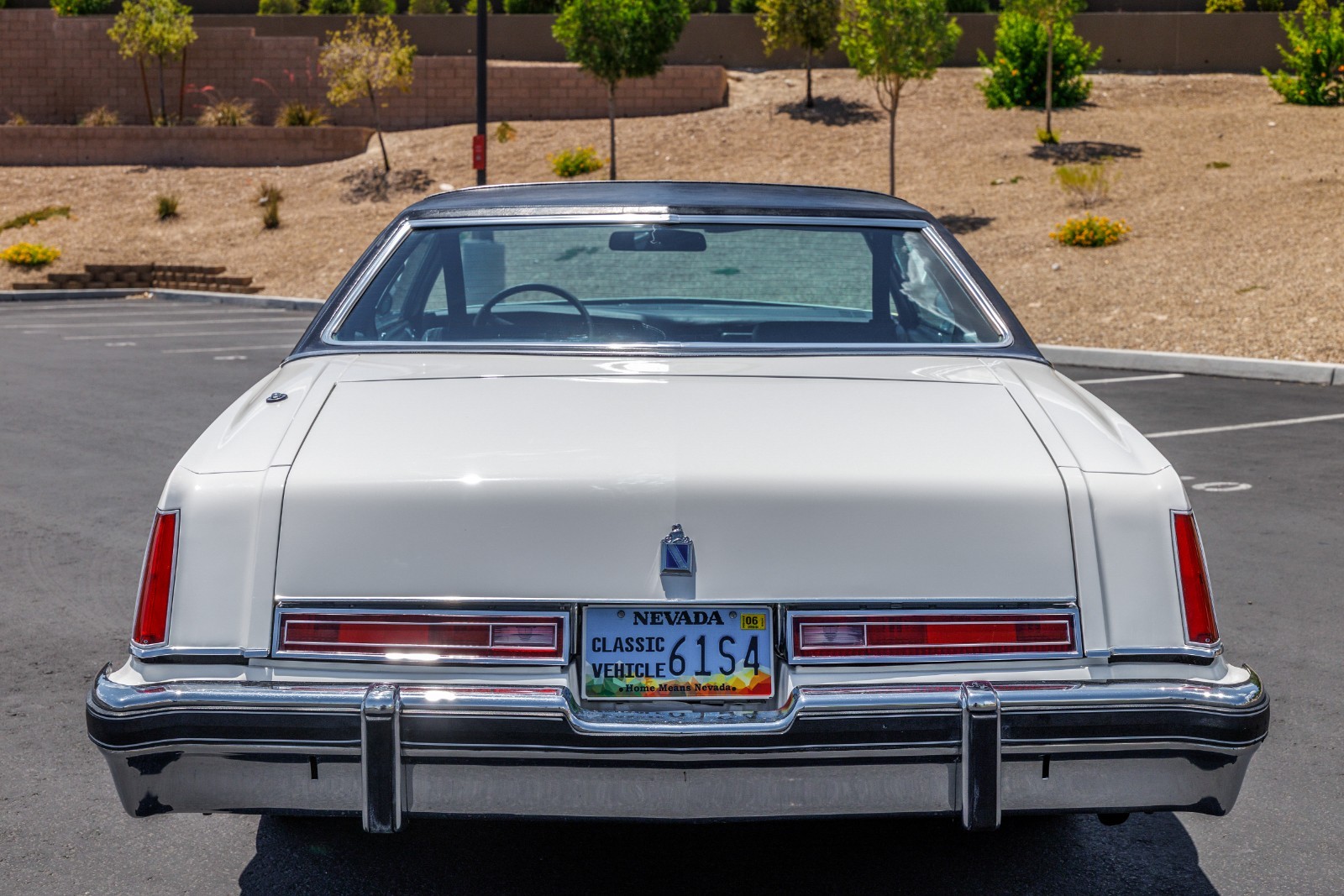 Buick-Regal-1977-Coupe-4