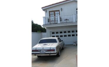 Buick-Regal-1979-Silver-White-Tan-1