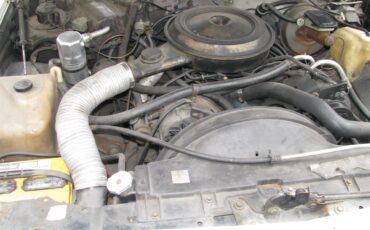 Buick-Regal-1979-Silver-White-Tan