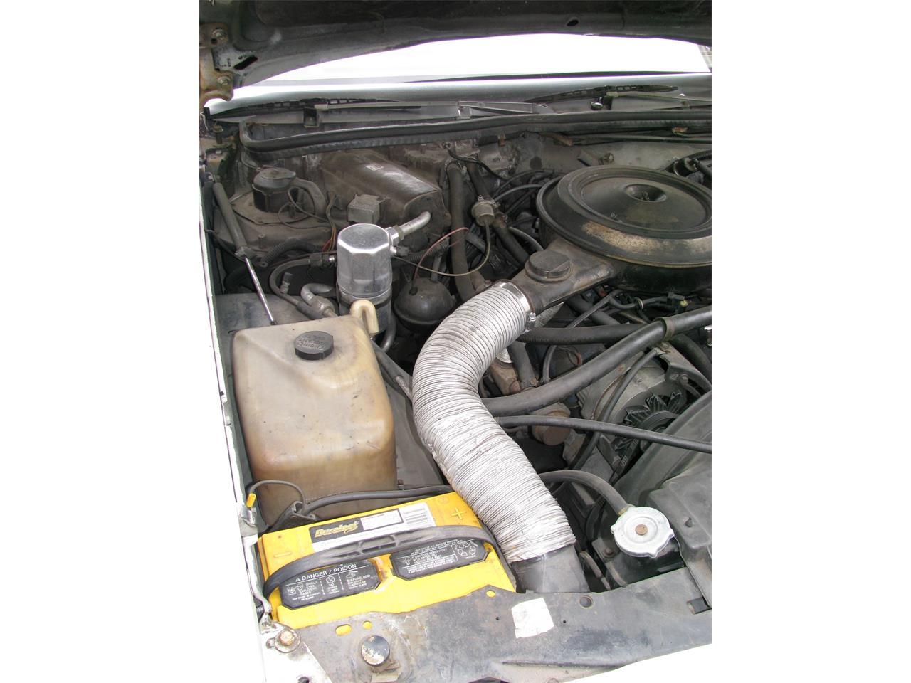 Buick-Regal-1979-Silver-White-Tan-6