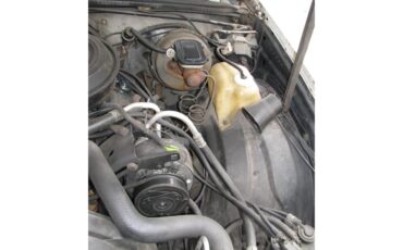 Buick-Regal-1979-Silver-White-Tan-7