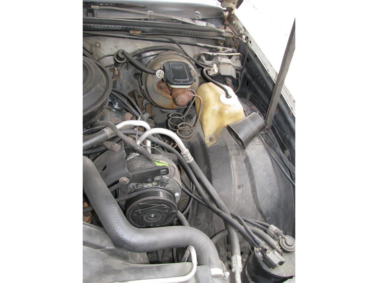 Buick-Regal-1979-Silver-White-Tan-7