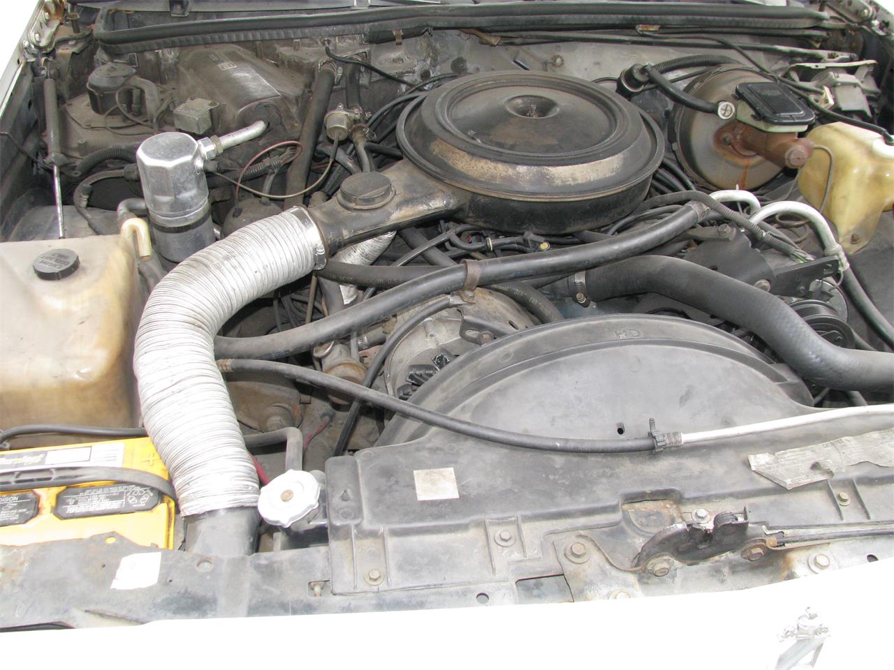 Buick-Regal-1979-Silver-White-Tan