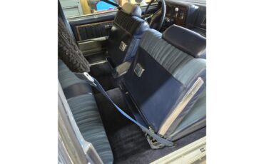 Buick-Regal-1980-White-Blue-10