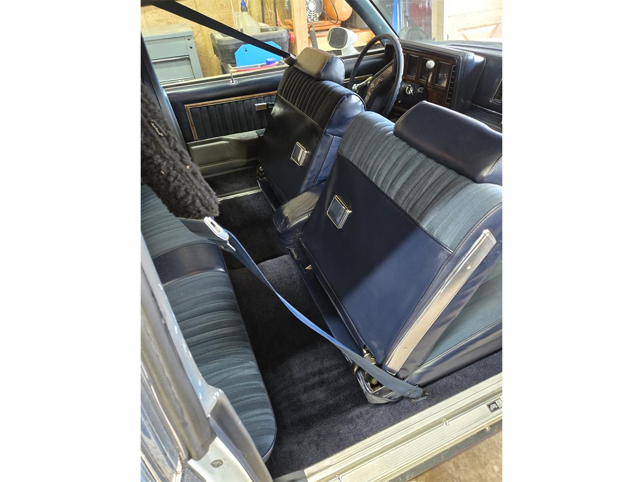 Buick-Regal-1980-White-Blue-10