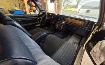 Buick-Regal-1980-White-Blue-11