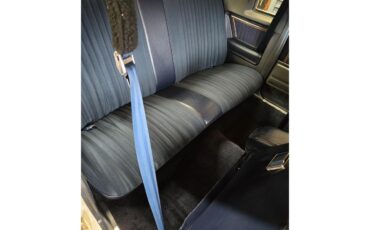 Buick-Regal-1980-White-Blue-6