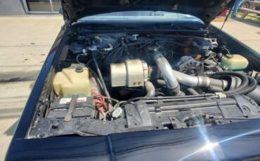 Buick-Regal-1987-19