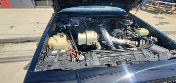 Buick-Regal-1987-19