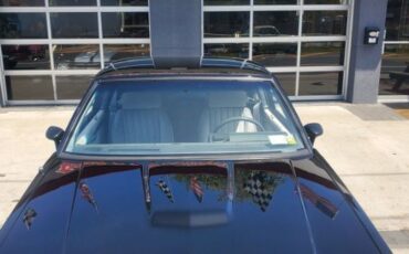 Buick-Regal-1987-9