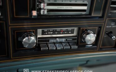 Buick-Riviera-1979-Light-Blue-Metallic-Blue-12