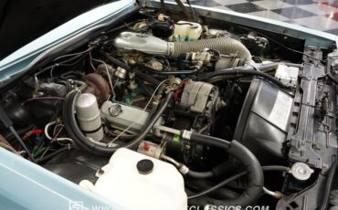 Buick-Riviera-1979-Light-Blue-Metallic-Blue-40
