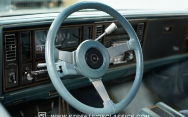 Buick-Riviera-1979-Light-Blue-Metallic-Blue-43