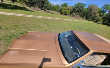 Buick-Riviera-1981-10